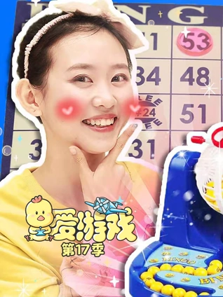 爱游戏 17