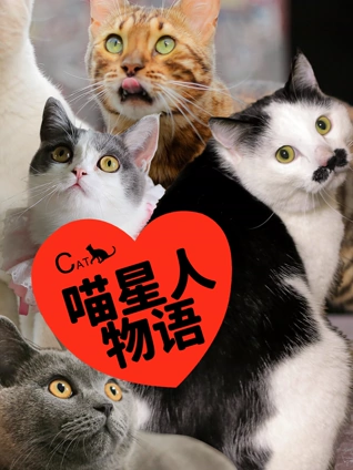导航大全