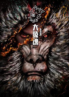 导航大全