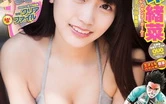 用车牌查行车轨迹